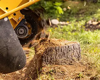 Stump grinding services